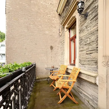 Apartment Alte Stadtvilla Am Weinberg 3 *